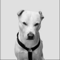 BACO-B&N